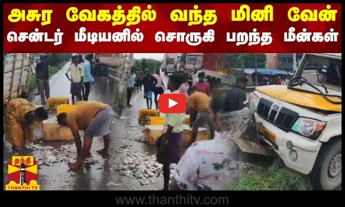 அசுர வேகத்தில் வந்த மினி வேன்.. சென்டர் மீடியனில் சொருகி பறந்த மீன்கள் | Van Accident