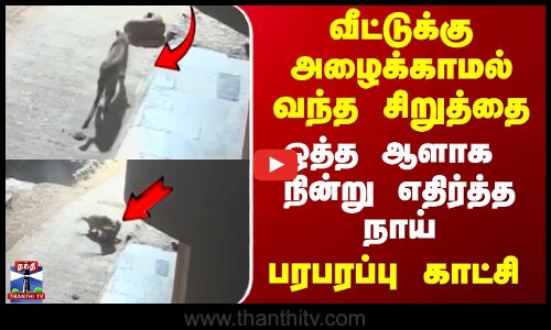 வீட்டுக்கு அழைக்காமல் வந்த சிறுத்தை  பரபரப்பு காட்சி