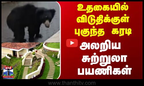 உதகையில் விடுதிக்குள் புகுந்த கரடி அலறிய சுற்றுலா பயணிகள்
