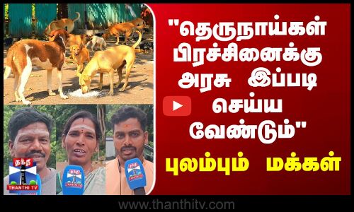 Street Interview | தெருநாய்கள் பிரச்சினைக்கு அரசு இப்படி செய்ய வேண்டும் - புலம்பும் மக்கள்