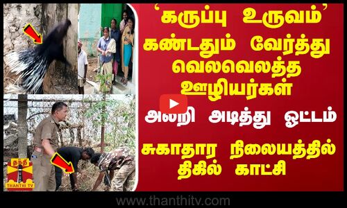 கருப்பு உருவம்... கண்டதும் வேர்த்து வெலவெலத்த ஊழியர்கள் - அலறி அடித்து ஓட்டம்...  ஆரம்ப சுகாதார நிலையத்தில்  பரபரப்பு