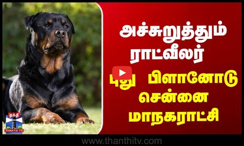 Rottweiler | அச்சுறுத்தும் ராட்வீலர் - புது பிளானோடு சென்னை மாநகராட்சி