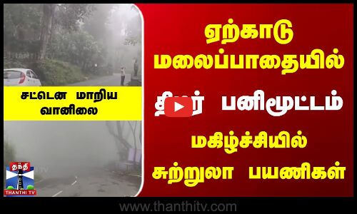 ஏற்காடு மலைப்பாதையில் திடீர் பனிமூட்டம் | சுற்றுலா பயணிகள் மகிழ்ச்சி