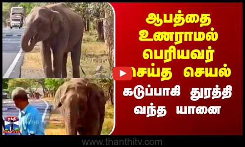 ஆபத்தை உணராமல் பெரியவர் செய்த செயல்.. கடுப்பாகி துரத்தி வந்த யானை