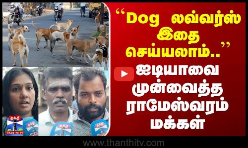 ThanthiTVStreetInterviews | Dog லவ்வர்ஸ் இதை செய்யலாம்.. | ஐடியாவை முன்வைத்த ராமேஸ்வரம் மக்கள்
