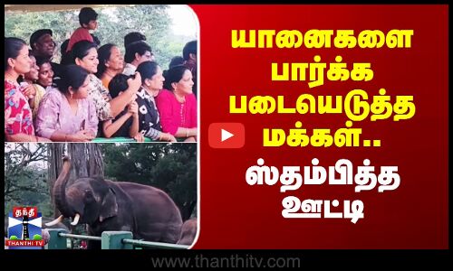 Ooty | யானைகளை பார்க்க படையெடுத்த மக்கள்.. ஸ்தம்பித்த ஊட்டி