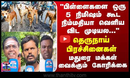 Street Interview பிள்ளைகளை ஒரு 5 நிமிஷம் கூட நிம்மதியா வெளிய விட முடியல... தெருநாய் பிரச்சினைகள்