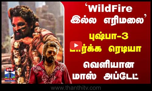 `WildFire இல்ல எரிமலை - புஷ்பா-3 பார்க்க ரெடியா - வெளியான மாஸ் அப்டேட்