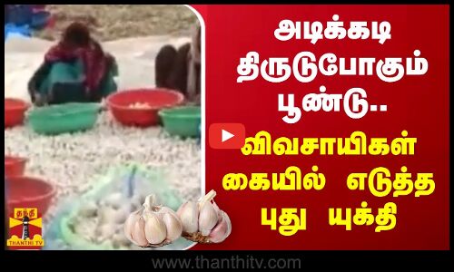 அடிக்கடி திருடுபோகும் பூண்டு.. விவசாயிகள் கையில் எடுத்த புது யுக்தி