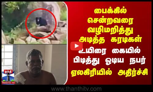 பைக்கில் சென்றவரை வழிமறித்து அடித்த கரடிகள் - உயிரை கையில் பிடித்து ஓடிய நபர்