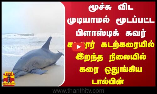 மூச்சு விட முடியாமல் மூடப்பட்ட பிளாஸ்டிக் கவர்.. கடலூரில் இறந்த நிலையில் கரை ஒதுங்கிய டால்பின்