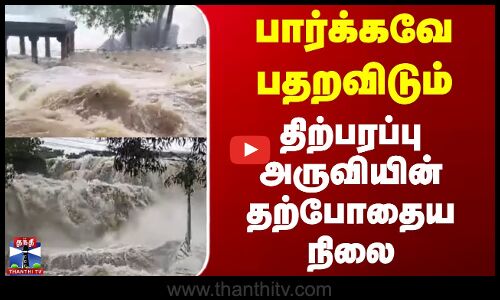 Kanyakumari Thirparappu Falls | பார்க்கவே பதறவிடும் திற்பரப்பு அருவியின் தற்போதைய நிலை