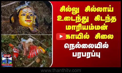சில்லு சில்லாய் உடைந்து கிடந்த மாரியம்மன் கோயில் சிலை - நெல்லையில் பரபரப்பு