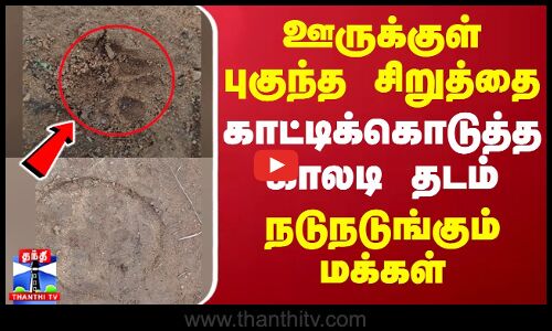 ஊருக்குள் புகுந்த சிறுத்தை.. காட்டிக்கொடுத்த காலடி தடம் - நடுநடுங்கும் மக்கள் | Thiruvannamalai