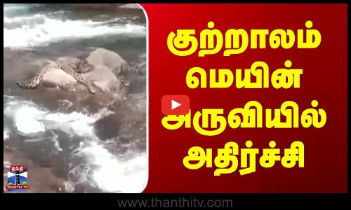 Thenkasi | குற்றாலம் மெயின் அருவியில் அதிர்ச்சி