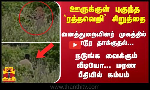 ஊருக்குள் புகுந்த  சிறுத்தை... வனத்துறை வீரர் முகத்தில் தாக்குதல்... மரண பீதியில் கம்பம்