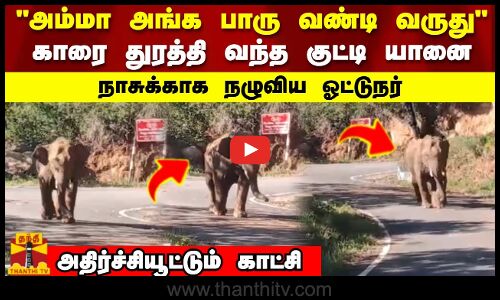 காரை துரத்தி வந்த குட்டி யானை நாசுக்காக நழுவிய ஓட்டுநர் அதிர்ச்சியூட்டும் காட்சி