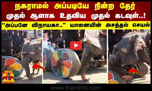 நகராமல் அப்படியே நின்ற தேர் முதல் ஆளாக உதவிய முதல் கடவுள்..!அப்பனே விநாயகா யானையின் அசத்தல் செயல்