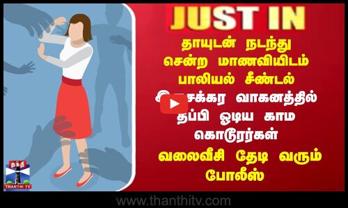 ராயப்பேட்டை அருகே கடைக்கு தாயுடன் நடந்து சென்ற கல்லூரி மாணவியிடம் பாலியல் சீண்டல்