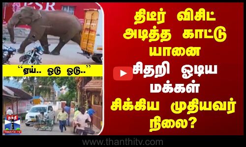 திடீர் விசிட் அடித்த காட்டு யானை | சிதறி ஓடிய மக்கள் | சிக்கிய முதியவர் நிலை?