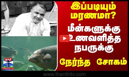 Fish  || இப்படியும் மரணமா? மீன்களுக்கு உணவளித்த நபருக்கு நேர்ந்த சோகம்