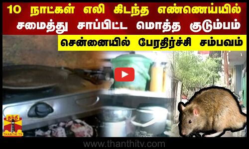 10 நாட்கள் எலி கிடந்த எண்ணெய்யில் சமைத்து சாப்பிட்ட மொத்த குடும்பம் - சென்னையில் பேரதிர்ச்சி