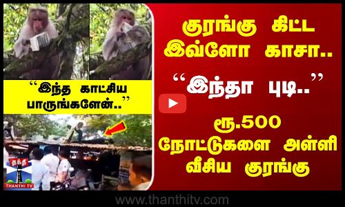 ``இந்தா புடி..’’ ரூ.500 நோட்டுகளை அள்ளி வீசிய குரங்கு.. குரங்கு கிட்ட இவ்ளோ காசா..