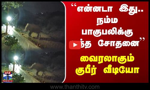 Elephant | Kovai | ``என்னடா இது.. நம்ம பாகுபலிக்கு வந்த சோதனை’’.. வைரலாகும் குபீர் வீடியோ