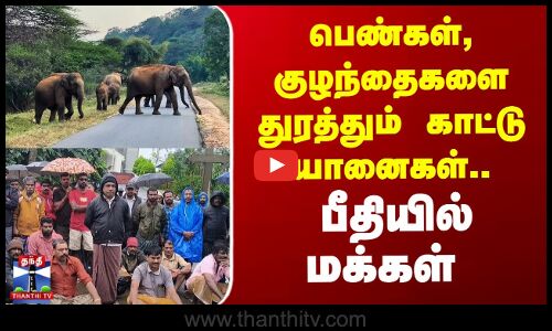 பெண்கள், குழந்தைகளை துரத்தும் காட்டு யானைகள்.. பீதியில் மக்கள்