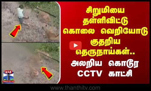 சிறுமியை தள்ளிவிட்டு கொலை வெறியோடு கவ்விய தெருநாய்கள்.. கொடூர CCTV காட்சி