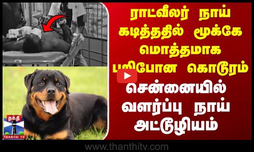 கடித்ததில் மூக்கே மொத்தமாக பறிபோன கொடூரம்..சென்னையில் வளர்ப்பு நாய் அட்டூழியம்