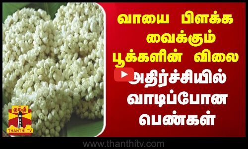 வாயை பிளக்க  வைக்கும் பூக்களின் விலை அதிர்ச்சியில்  வாடிப்போன  பெண்கள்