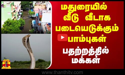 மதுரையில் வீடு வீடாக படையெடுக்கும் பாம்புகள்.. பதற்றத்தில் மக்கள்