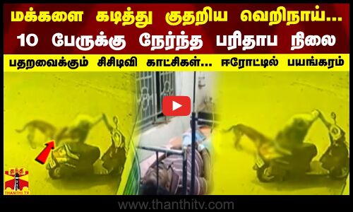 மக்களை கடித்து குதறிய வெறிநாய்... 10 பேருக்கு நேர்ந்த பரிதாப நிலை.. பதறவைக்கும் சிசிடிவி காட்சிகள்..