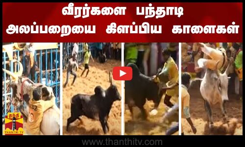 வீரர்களை பந்தாடி அலப்பறையை கிளப்பிய காளைகள்