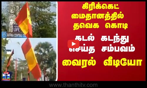 TVK Flag | Vijay | கிரிக்கெட் மைதானத்தில் தவெக கொடி... கடல் கடந்து செய்த சம்பவம் - வைரல் வீடியோ