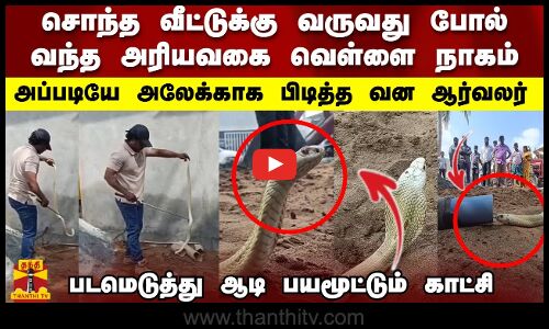 சொந்த வீட்டுக்கு வருவது போல் வந்த அரியவகை வெள்ளை நாகம்..அப்படியே அலேக்காக பிடித்த வன ஆர்வலர்