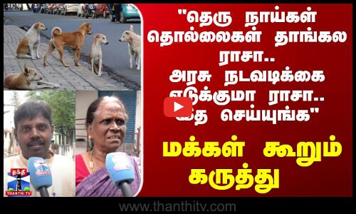Street Dogs | Street Interview | தெரு நாய் தொல்லை அதிகரித்திருப்பதாக உணர்கிறீர்களா? மக்கள் கருத்து