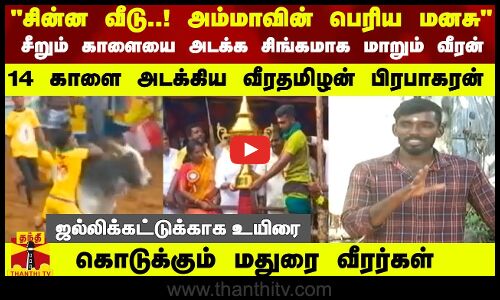 சின்ன வீடு..! அம்மாவின் பெரிய மனசு - சீறும் காளையை அடக்க சிங்கமாக மாறும் வீரன்..