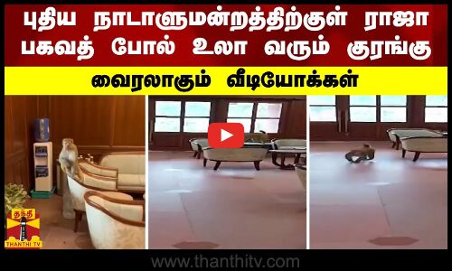 புதிய நாடாளுமன்றத்திற்குள் புகுந்து ராஜ பகவத் போல் உலா வரும் குரங்கு.. வைரலாகும் வீடியோக்கள்