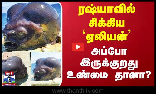 ரஷ்யாவில் சிக்கிய `ஏலியன் - அப்போ இருக்குறது உண்மை தானா? | Russia | Alien