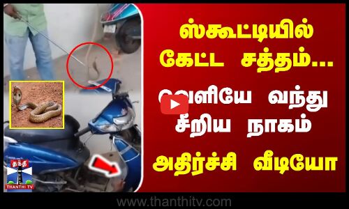 ஸ்கூட்டியில் கேட்ட சத்தம்... | வெளியே வந்து சீரிய நாகம்.. | அதிர்ச்சி வீடியோ