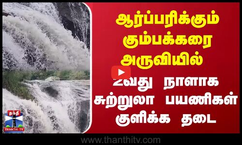 ஆர்ப்பரிக்கும் கும்பக்கரை அருவி | 2வது நாளாக சுற்றுலா பயணிகள் குளிக்க தடை