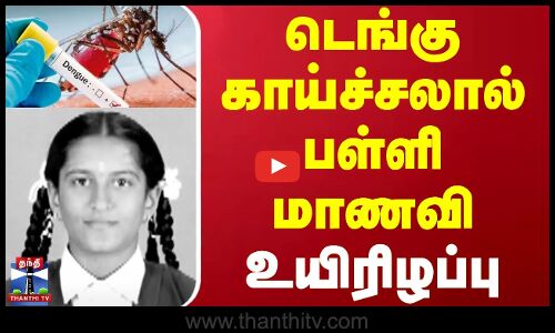 டெங்கு காய்ச்சலால் பள்ளி மாணவி உயிரிழப்பு | Dengue Fever | Thanthi TV