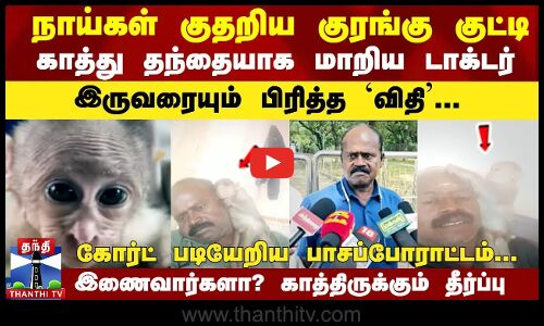 குரங்கு குட்டி; காத்து தந்தையாக மாறிய டாக்டர்-பிரித்த `விதி...  இணைவார்களா? காத்திருக்கும் தீர்ப்பு