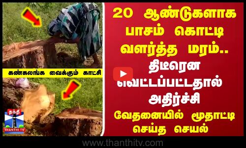 Tree Cutdown | 20 ஆண்டுகளாக வளர்த்த மரத்தை வெட்டியதால் அதிர்ச்சி..வேதனையில் மூதாட்டி செய்த செயல்