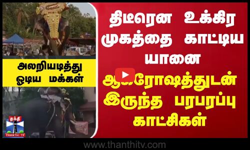 திடீரென உக்கிர முகத்தை காட்டிய யானை.. ஆக்ரோஷத்துடன் இருந்த பரபரப்பு காட்சிகள்