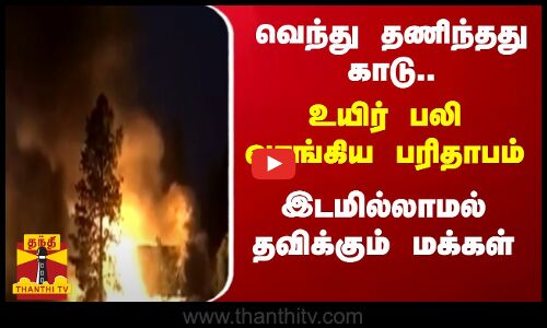 வெந்து தணிந்தது காடு..உயிர் பலி வாங்கிய பரிதாபம் ..இடமில்லாமல் தவிக்கும் மக்கள்