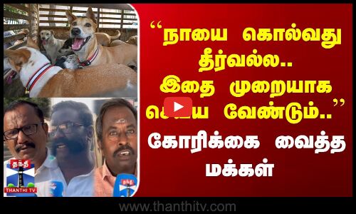 Street Interview | நாயை கொல்வது தீர்வல்ல.. இதை முறையாக செய்ய வேண்டும்.. | கோரிக்கை வைத்த மக்கள்