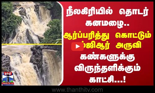 நீலகிரியில் தொடர் கனமழை.. ஆர்ப்பரித்து கொட்டும் எம்ஜிஆர் அருவி கண்களுக்கு விருந்தளிக்கும் காட்சி...